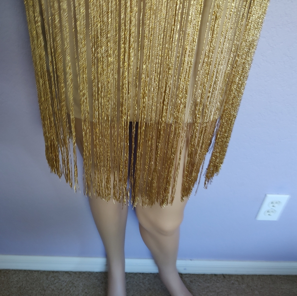 Forever 21 Gold Fringe Dress - Picture 4 of 8